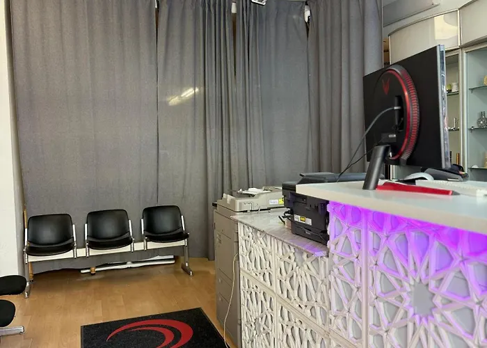 加尼埃米尔酒店 3*