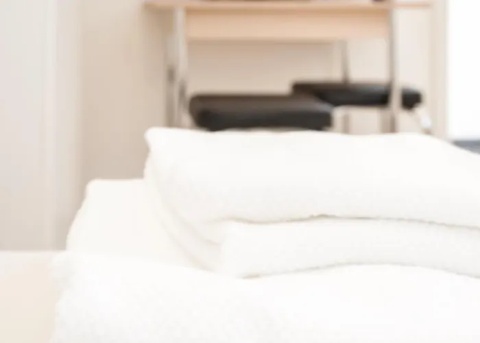 가르니 에미어 3*